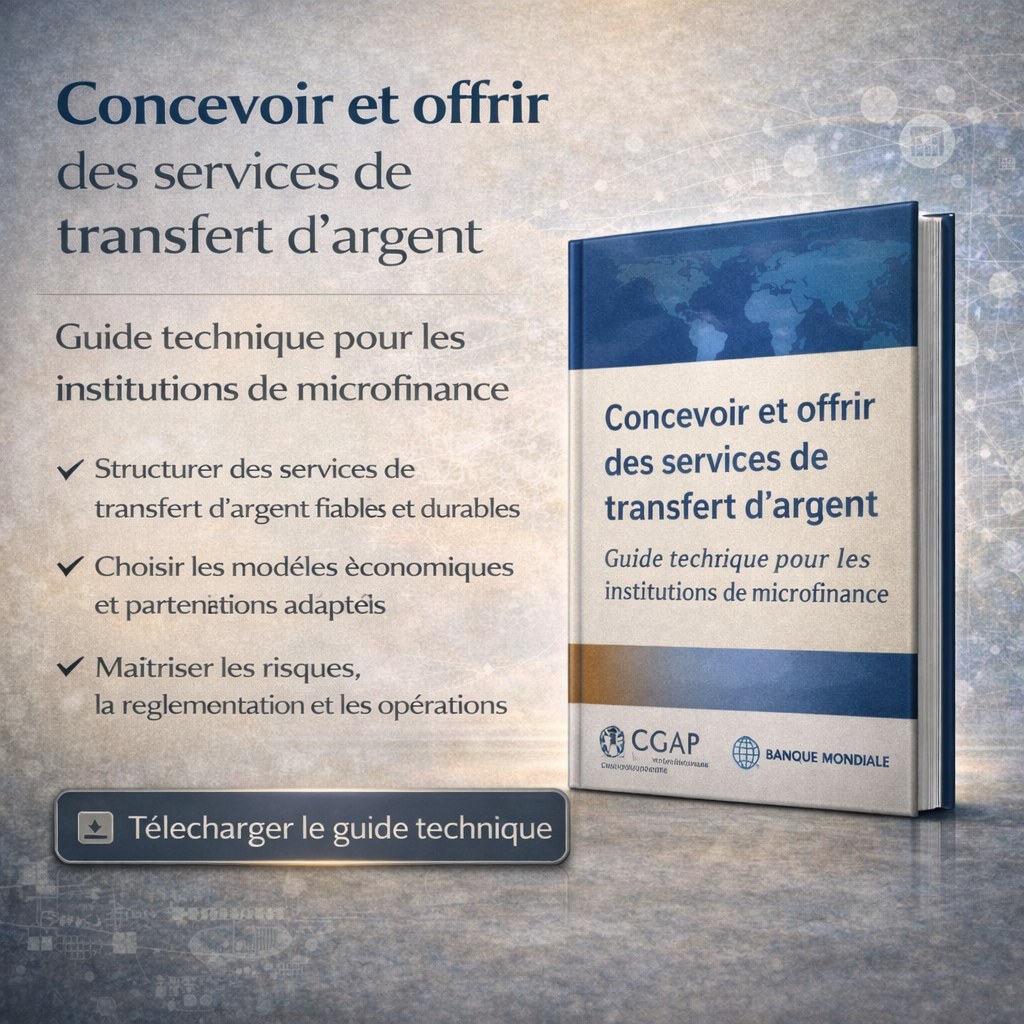 Concevoir et offrir des services de transfert d’argent